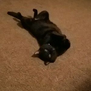 Meet your Posher, Katie